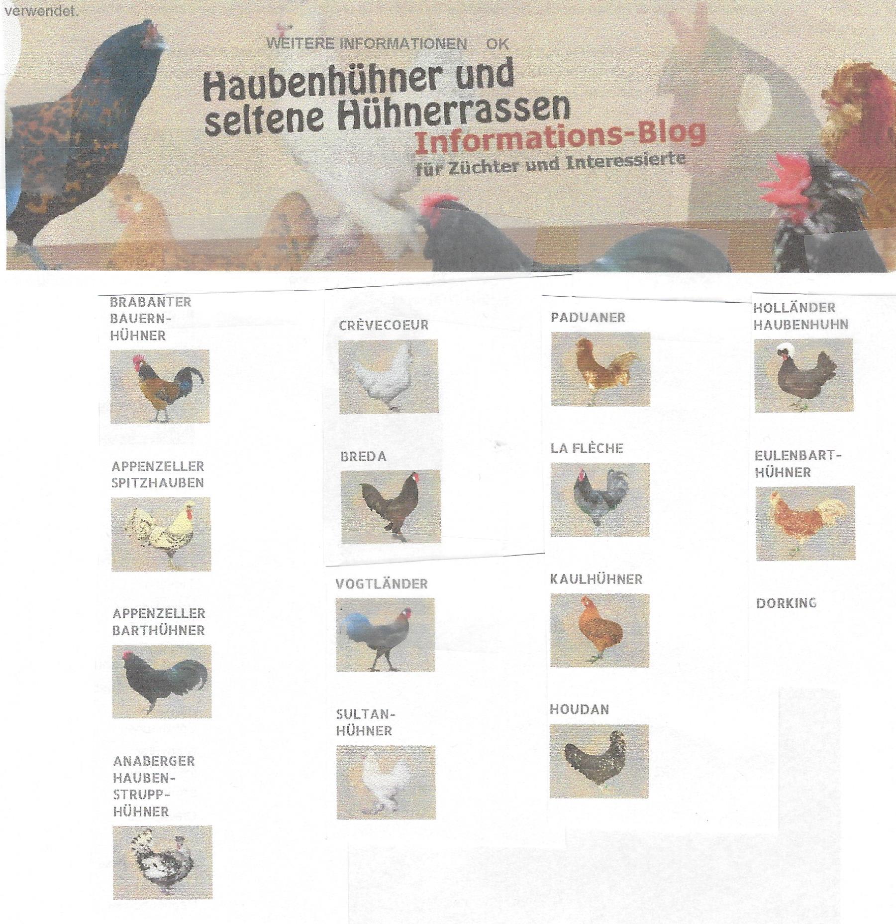 Haubenhühner