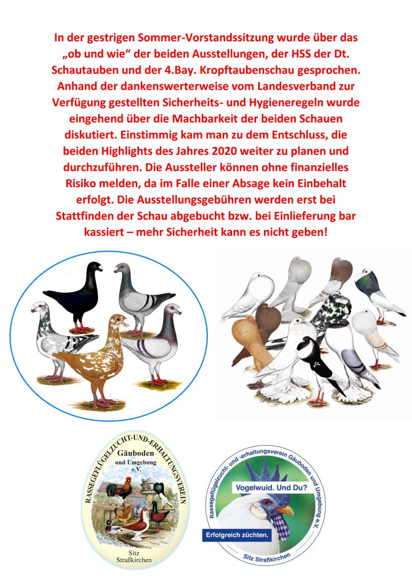 Sommer VS Schau 01