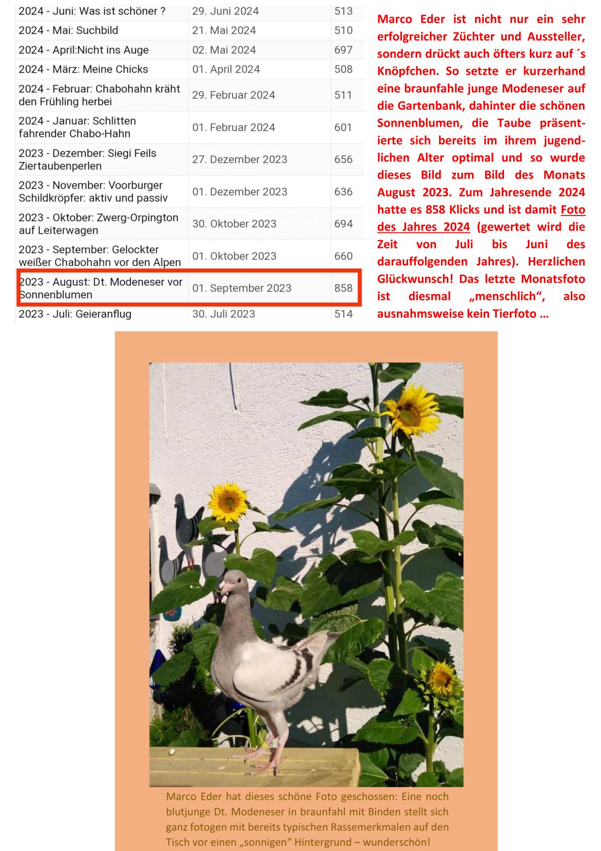 12 Foto des Jahres 01