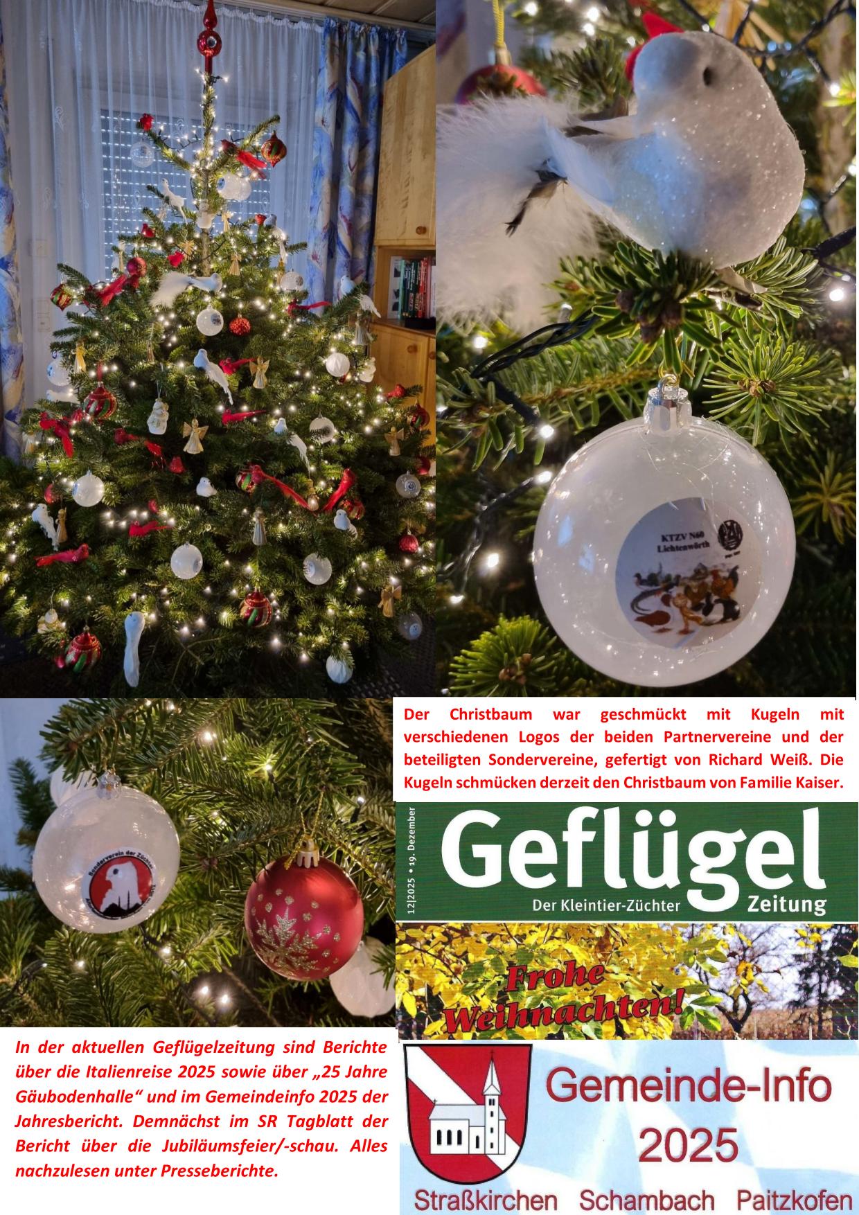 12 Weihnachten 02