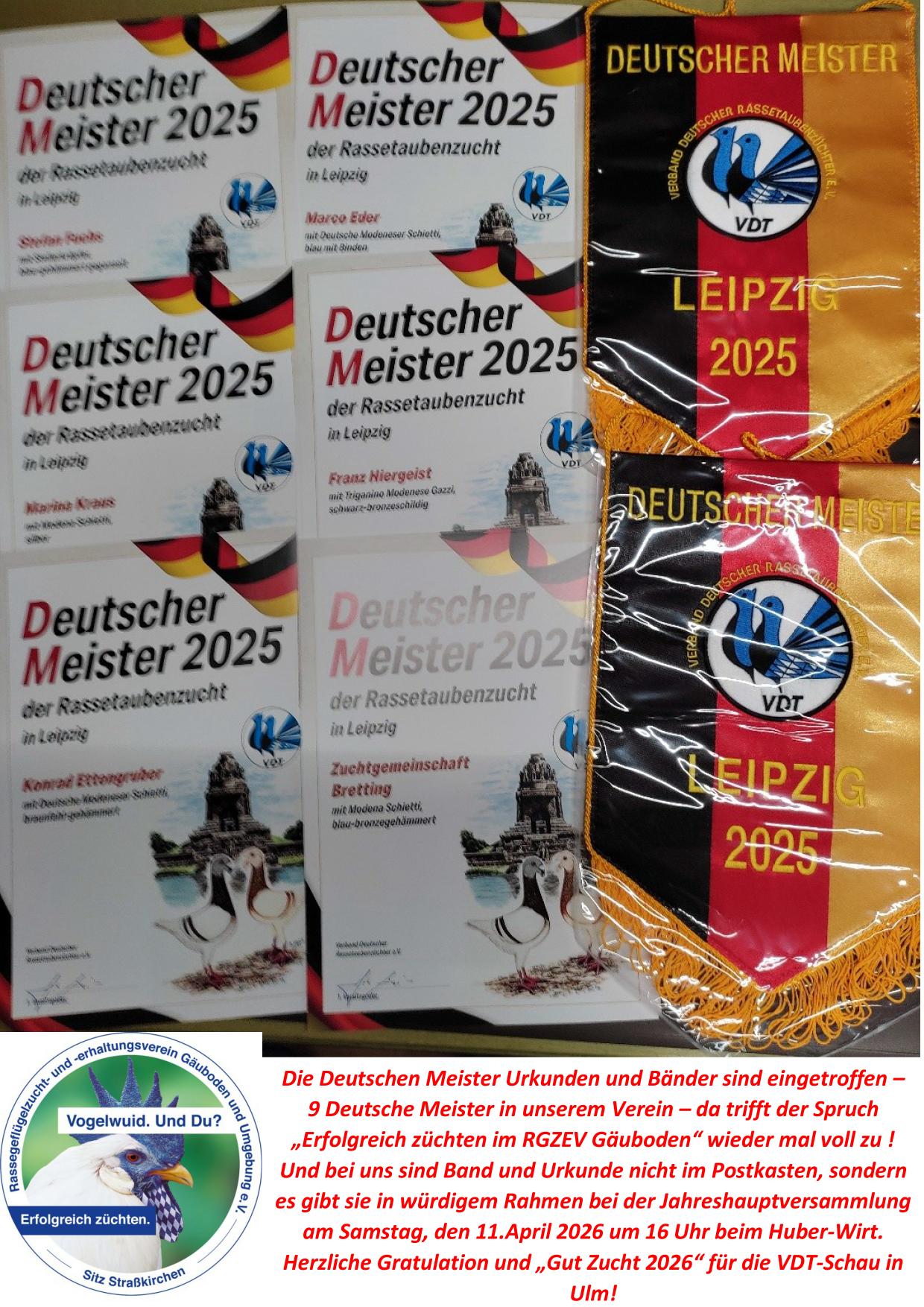 3 DM 01