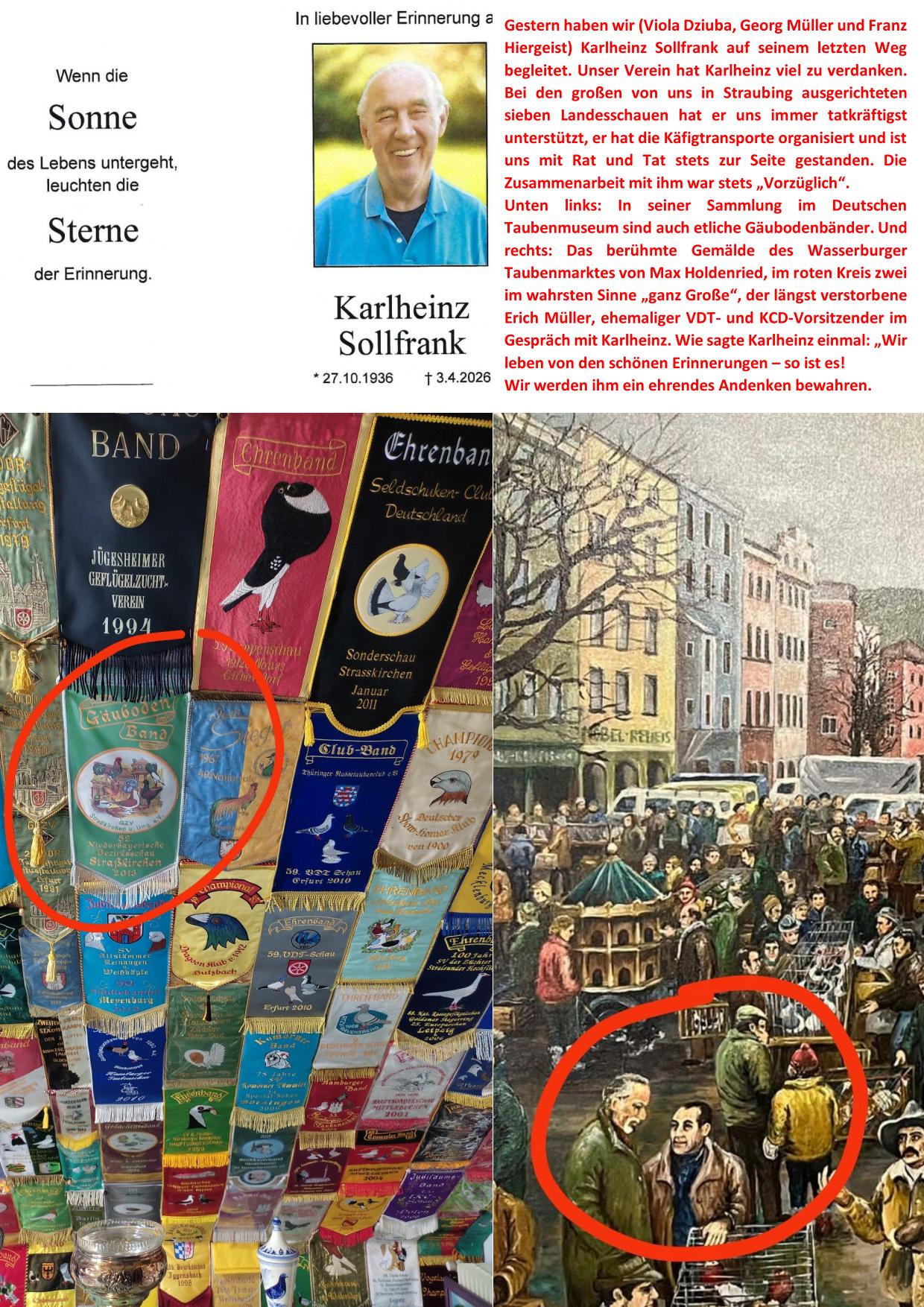 5 Sollfrank 01