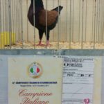 Italien_35