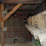 Austria_110