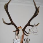 Austria_115
