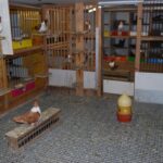 Austria_140