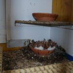 Austria_141