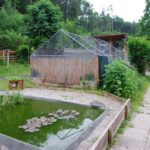 Austria_153
