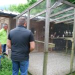 Austria_241
