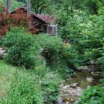 Austria_247