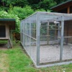 Austria_252