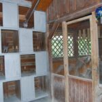 Austria_263