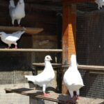 Ausflug 24_108
