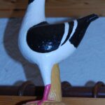 Ausflug 24_167