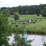Ausflug 24_31