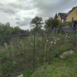Ausflug 24_32