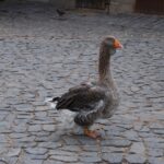 Ausflug 24_48
