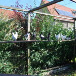Ausflug 24_71