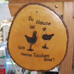 Ausflug 24_90