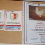 Austria_222