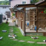 Austria_7