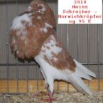 Tiere_38