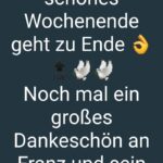 Schau_31