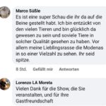 Schau_33