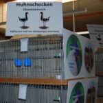 Schau_6