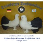 Tiere BezSchau 2016_20