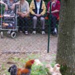 Hühnerfest
