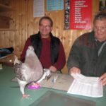 Huhntaubenschau_2009_43