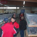 Markt19_20