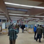 Markt22_11