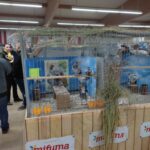 Markt22_9