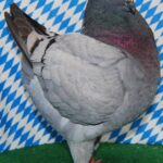 Die besten Tiere unseres Vereins