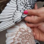 BI_40
