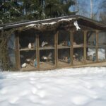 Götz_19