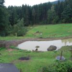 GrubR_3