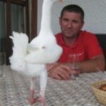 Hack_23