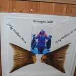 Müll_22