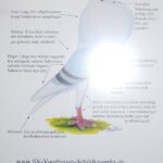 Müll_29