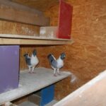 Pein_22