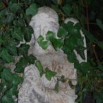 Rot_22