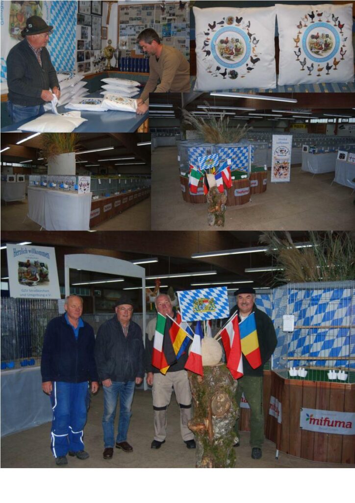 Modeneser Aufbau 01