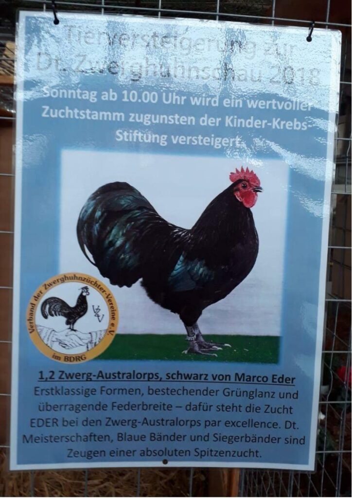 Hannover Verst 01
