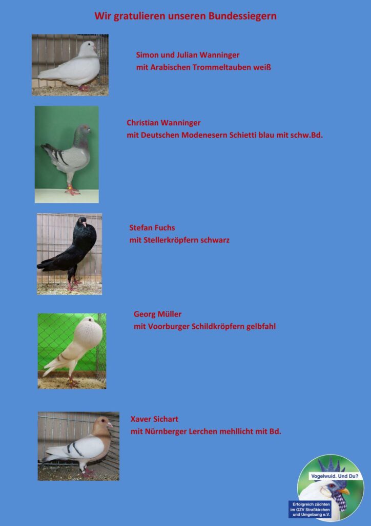Bundessieger 01