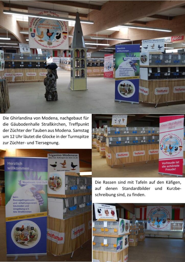 10 Collage Weltschau 01