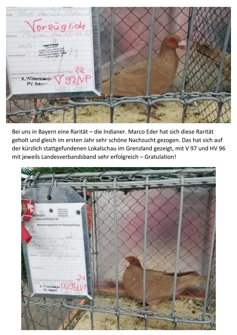 Marco Eder beste Gesamtleistung auf der HSS der Dt. Modenenser