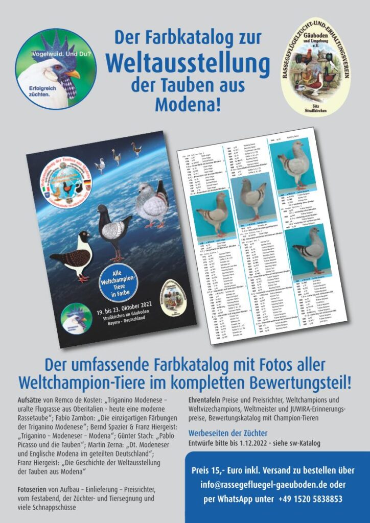 Anzeige 02